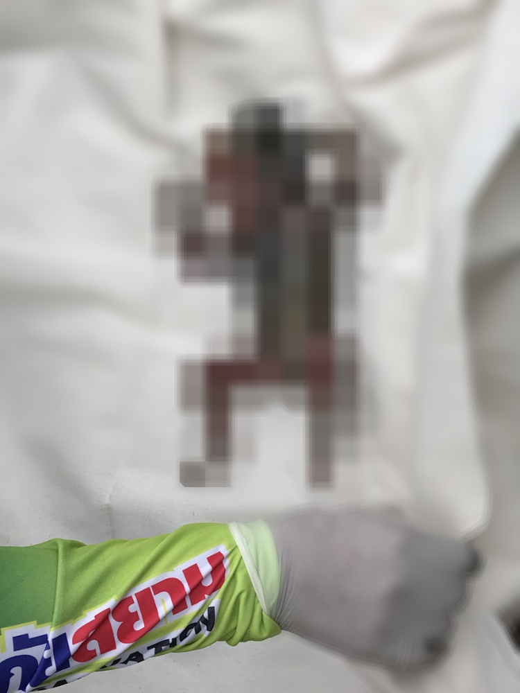 https://kdcdn.co/wp-content/uploads/IMG_20191125_185414.jpg