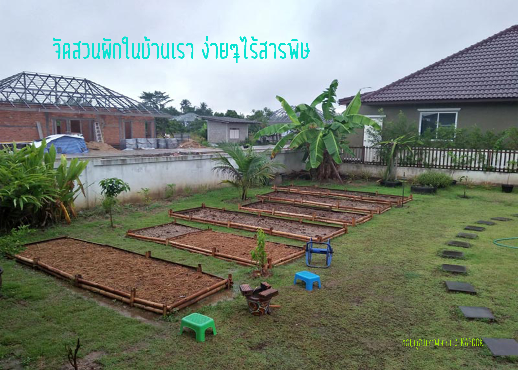 จัดสวนผักในบ้านเรา