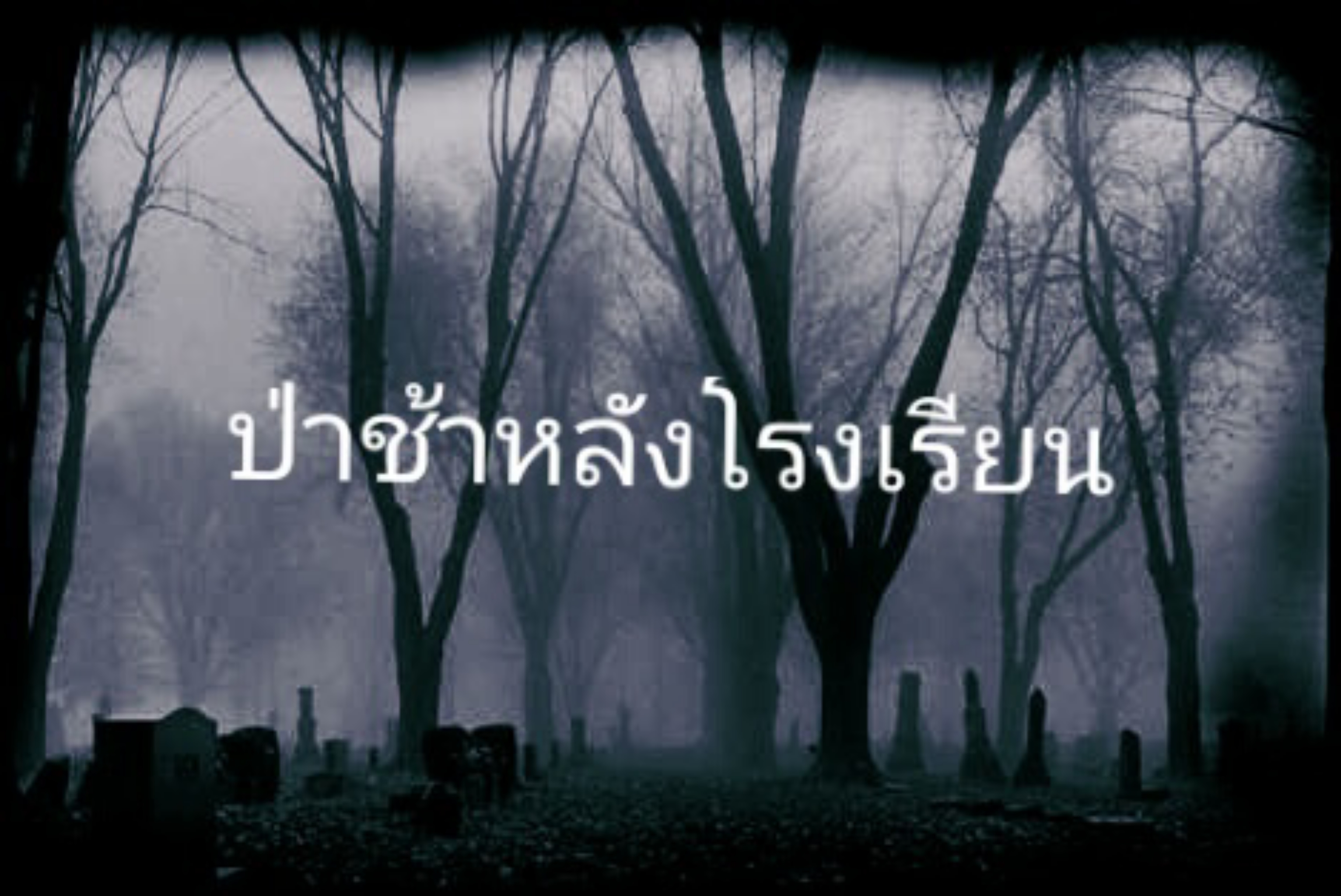 ป่าช้าหลังโรงเรียน