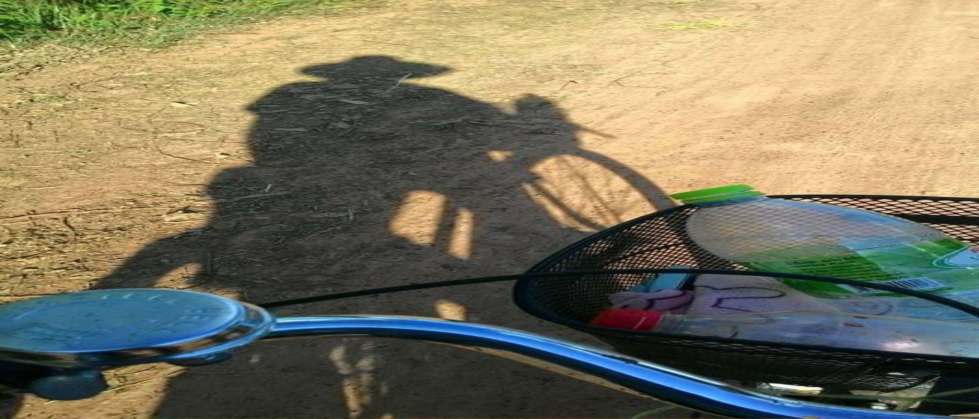 เตารีดที่หนูอยากได้