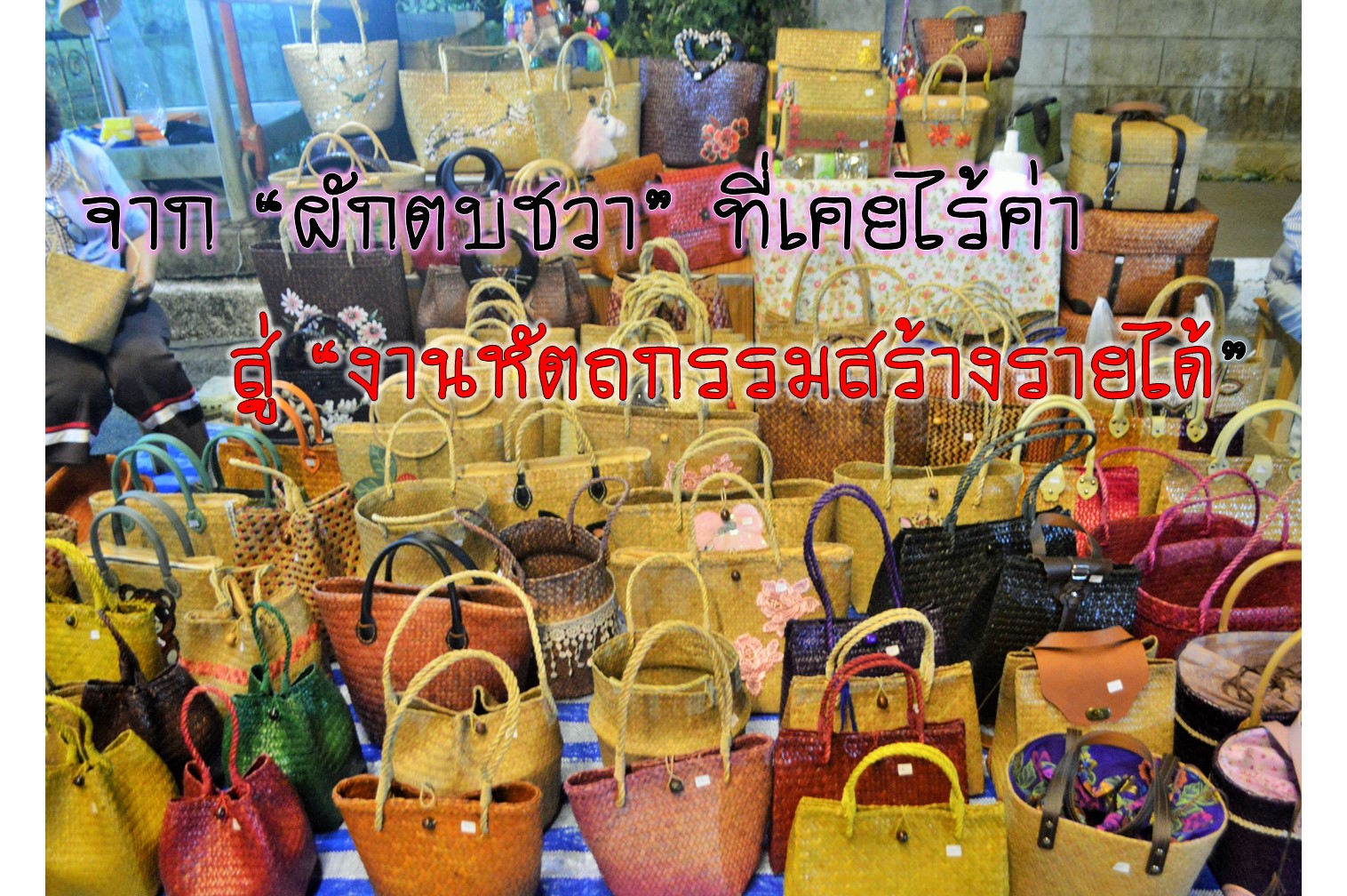 จาก "ผักตบชวา" ที่เคยไร้ค่า สู่ งานหัตถกรรมสร้างรายได้