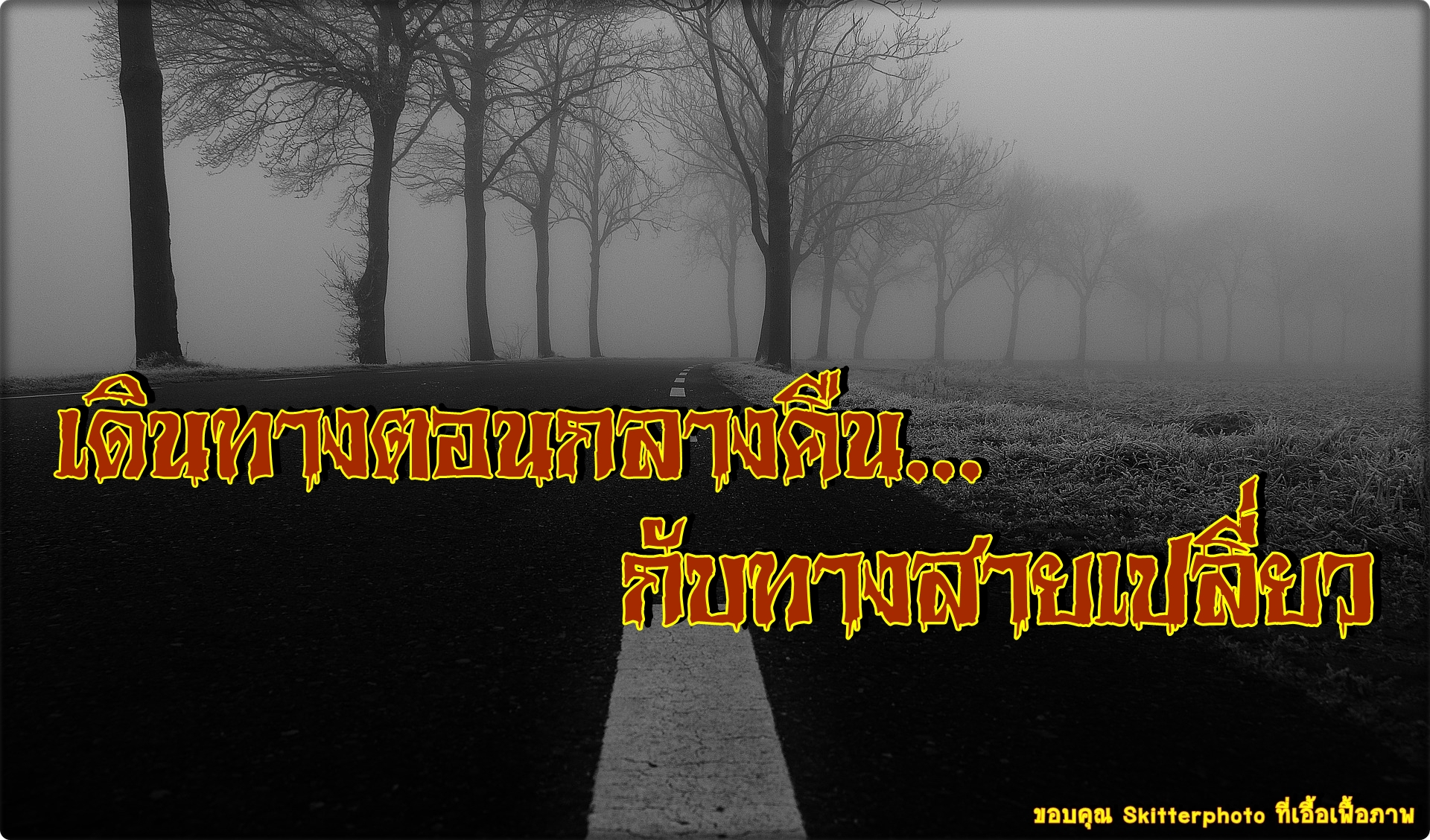 เดินทางตอนกลางคืนกับทางสายเปลี่ยว