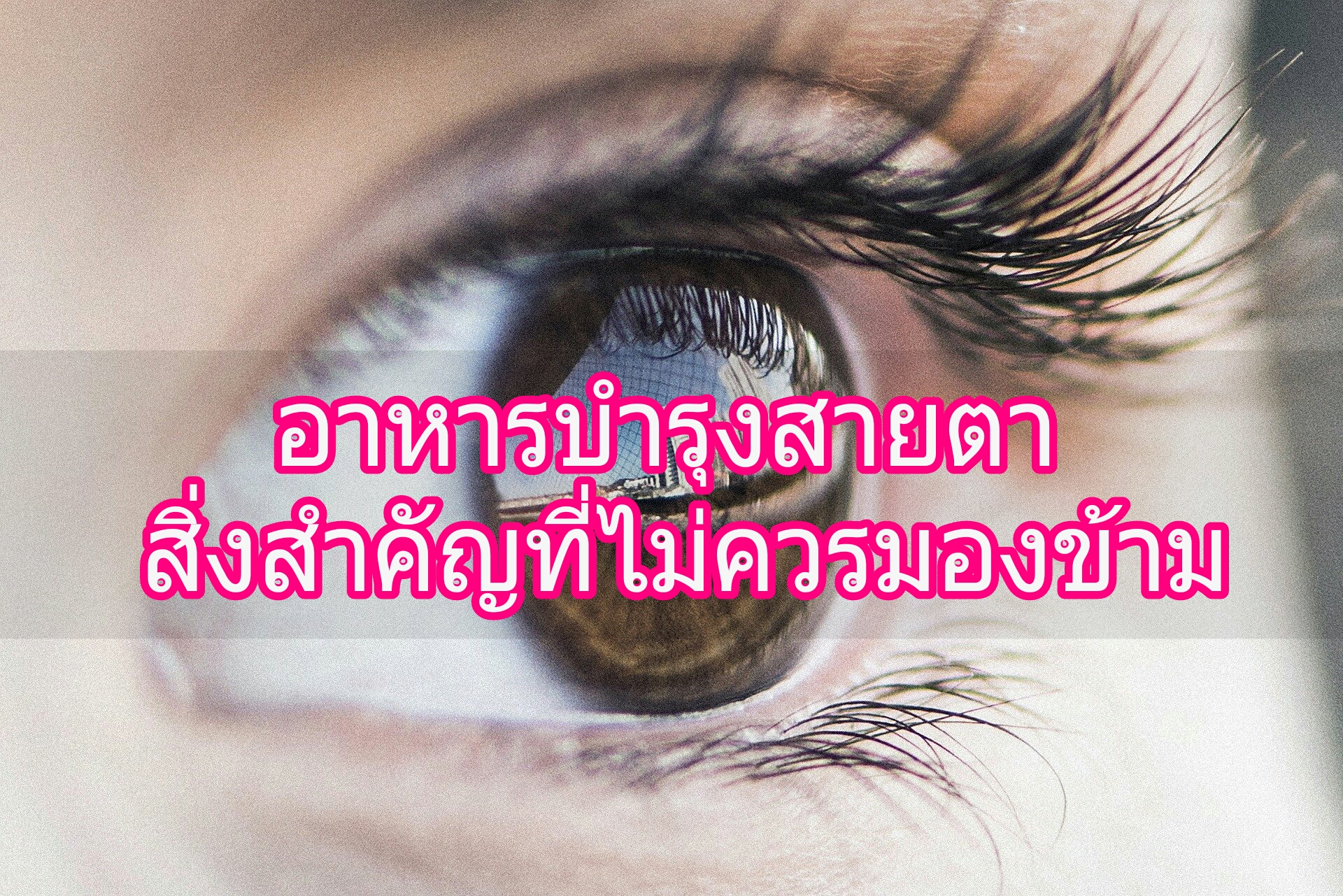 'อาหารบำรุงสายตา' สิ่งสำคัญที่ไม่ควรมองข้าม