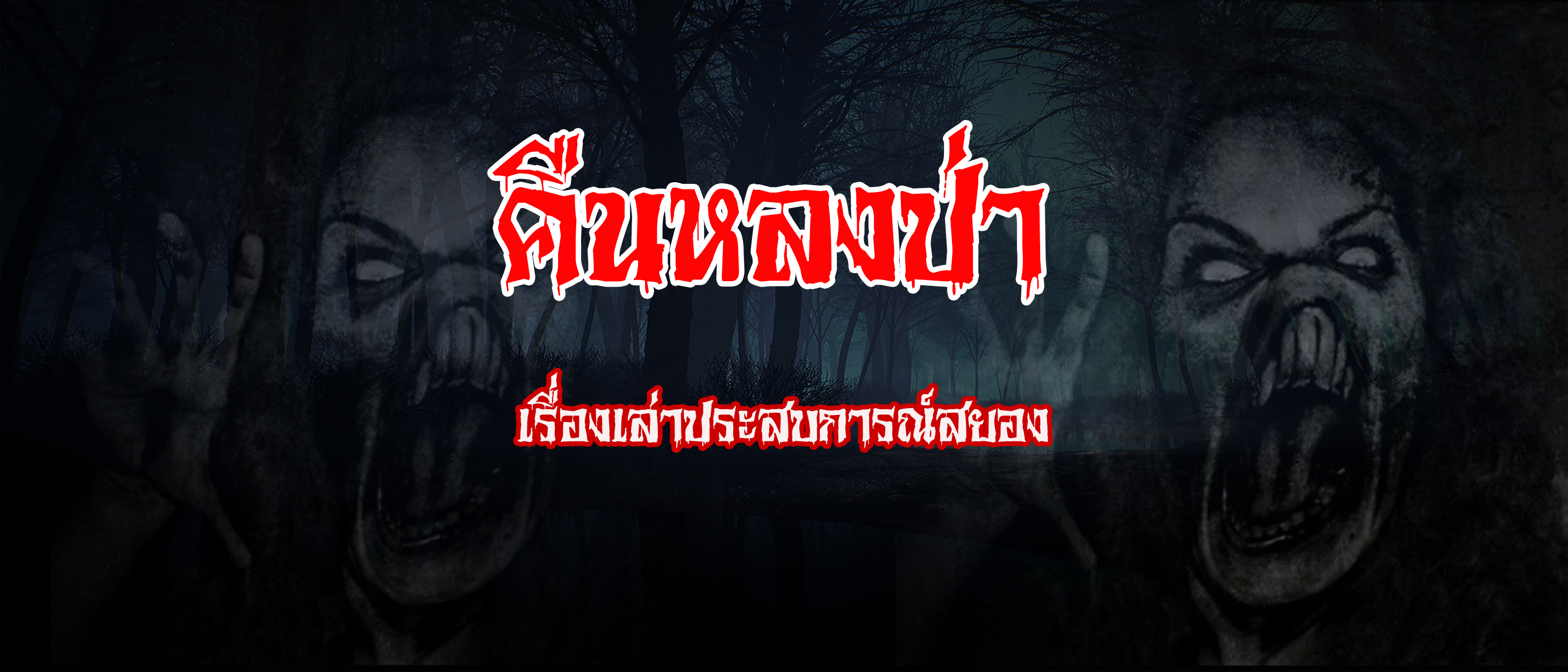 คืนหลงป่า