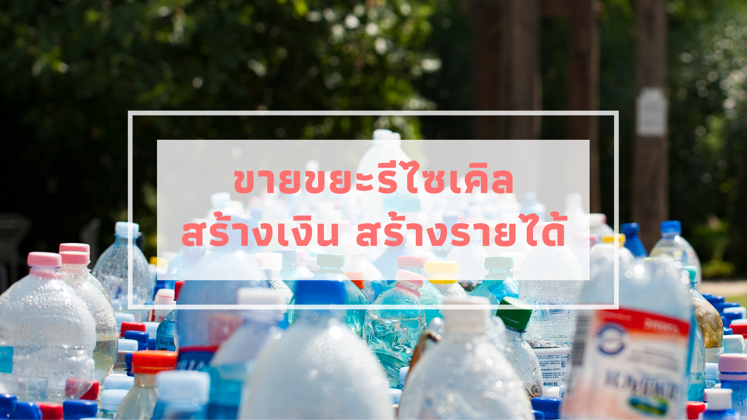 ขายขยะรีไซเคิล สร้างเงิน สร้างรายได้